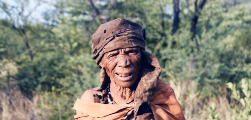 bushmen tribe in south africa
